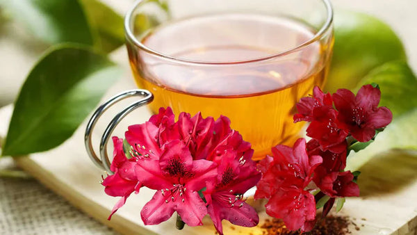 Rhododendron Tea